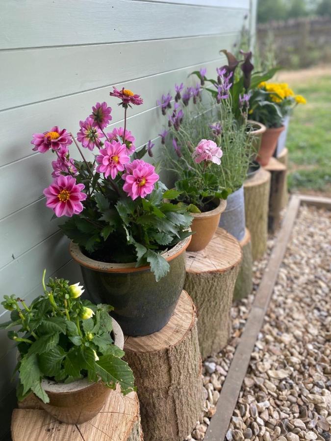 Cosy Cotswolds Self-Contained One Bedroom Cottage 奇平诺顿 外观 照片